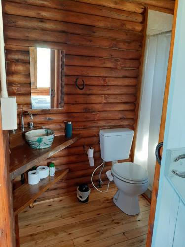 圣安东尼奥德阿雷科Cabaña Rural El Encuentro的一间带卫生间和水槽的浴室
