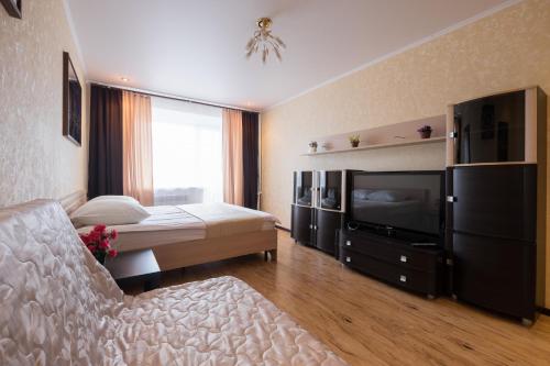 托木斯克ОК! Красноармейская, 151的配有一张床和一台平面电视的酒店客房