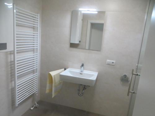 萨尔茨堡Premium City Apartment Amadeus的一间带水槽、镜子和淋浴的浴室