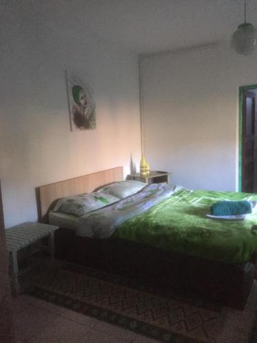 卡库拉塔Vila Licurici的一间卧室配有一张带绿色棉被的床