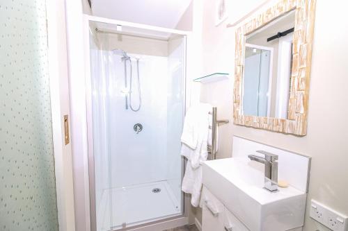 旺格努伊STUDIO @ 91的带淋浴、盥洗盆和镜子的浴室
