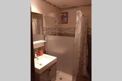 富瓦Foix的浴室配有水槽和带浴帘的淋浴
