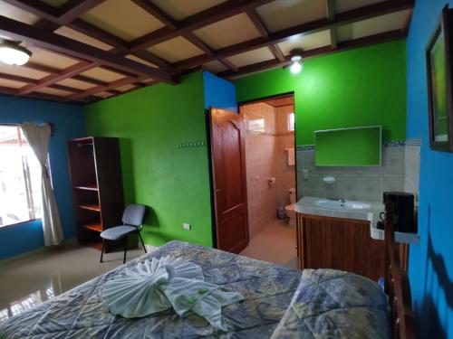 埃尔卡斯蒂约Los Tucanes Lodging的一间卧室设有绿色的墙壁、一张床和一个水槽