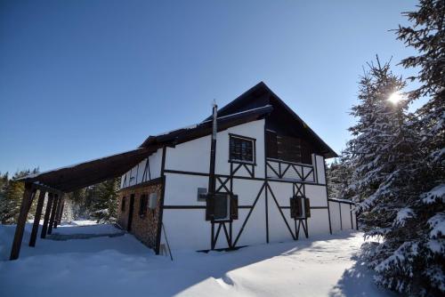 陶比斯特拉Cabanele Pași Liberi的雪地中的一座建筑,有雪覆盖的树木
