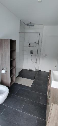 瓦伦施塔特Schöne Wohnung in Walenstadt的带淋浴、卫生间和盥洗盆的浴室