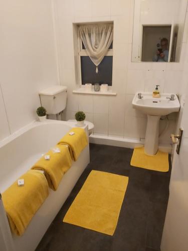赫尔淡水河谷公寓酒店的带浴缸、水槽和黄色地毯的浴室