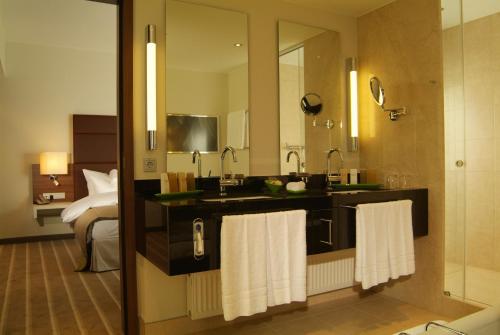 莱茵河畔路德维希港勒内博恩酒店的一间带水槽和镜子的酒店浴室