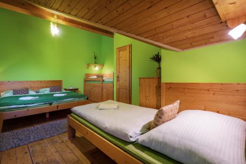 利普托斯基米库拉斯Apartmán - Apartament Tatralandia 331的一间卧室设有两张床,拥有绿色的墙壁