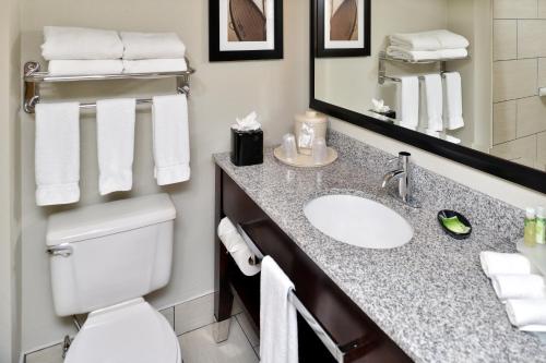 坦帕坦帕洛基波恩特岛快捷假日&套房酒店的一间带水槽、卫生间和镜子的浴室