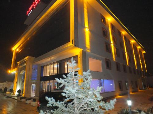 Karaman德莫森酒店的前面有圣诞树的建筑