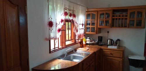 博瓦隆Elilia's Haven的厨房设有水槽和窗户。