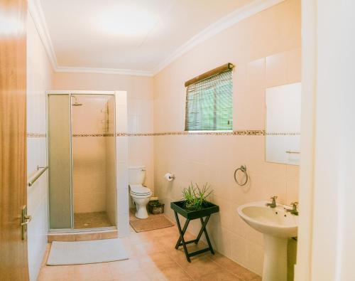 奥卡汉贾Farmstay Okakeua的带淋浴、卫生间和盥洗盆的浴室