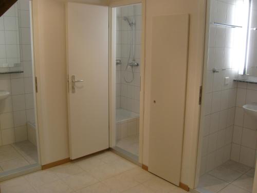 茨韦西门维斯塔度假旅舍的带淋浴、卫生间和盥洗盆的浴室
