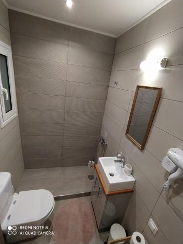 雅典Athens Lycabettus Luxurious Loft的一间带水槽、卫生间和镜子的浴室
