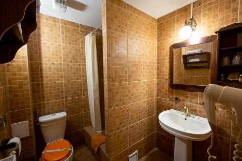 布泽乌Complex Turistic "Moara Dragaicilor"的一间带卫生间和水槽的小浴室
