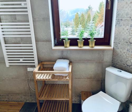 伊斯泰布纳Domek na górze -Odetchnij od miasta w Istebnej的一间带卫生间的浴室和一个带盆栽的窗户