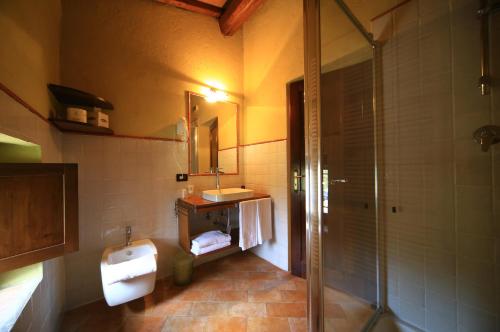 圣吉米纳诺莫里诺蒂费茨酒店的浴室配有卫生间、盥洗盆和淋浴。