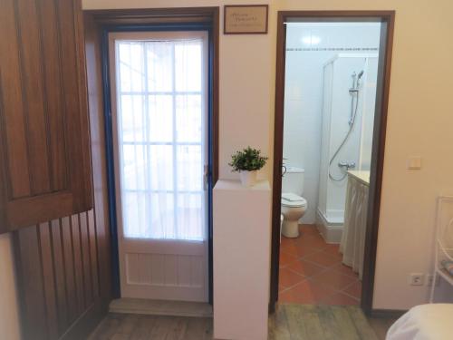米尔芳提斯城CASA DA BARRA AZUL by Stay in Alentejo的一间带卫生间和淋浴及窗户的浴室
