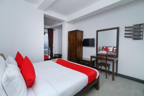 努沃勒埃利耶Delphin Hotel的一间卧室配有一张带红色枕头的床和一张书桌