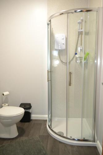 威克Harbour View Apartment Wick的设有带卫生间的浴室内的淋浴间