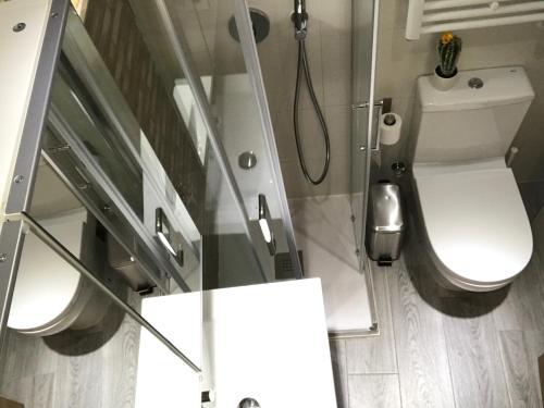 萨拉戈萨MODERNO NUEVO Luminoso WI-FI PLAZA DEL PILAR 2的一间带卫生间和淋浴的小浴室