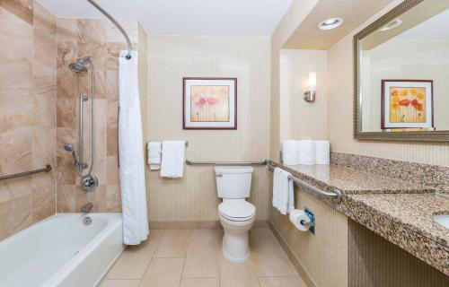 圣地亚哥圣地亚哥海洋世界智选假日酒店的浴室配有卫生间、浴缸和水槽。
