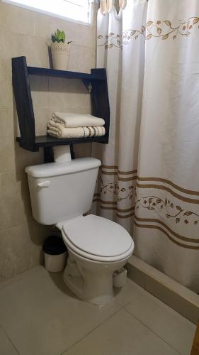 伊图萨因戈Dona Monica的一间带卫生间和淋浴帘的浴室