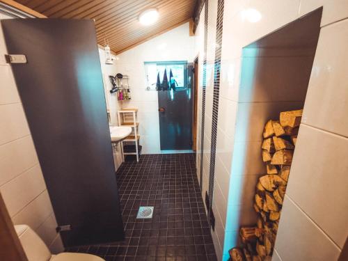 VirrankyläTaiga School的一间带卫生间和水槽的小浴室