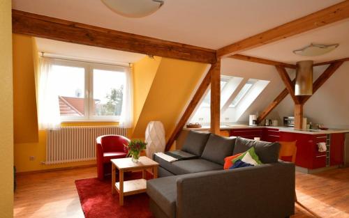 波茨坦Apartment Alter Fritz的带沙发的客厅和厨房