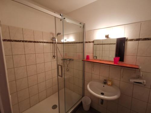 玛丽亚莱泽多夫凯尔酒店的带淋浴、盥洗盆和镜子的浴室
