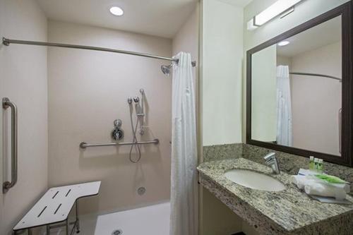 托灵顿托林顿智选假日酒店&套房的浴室配有盥洗盆和带镜子的淋浴