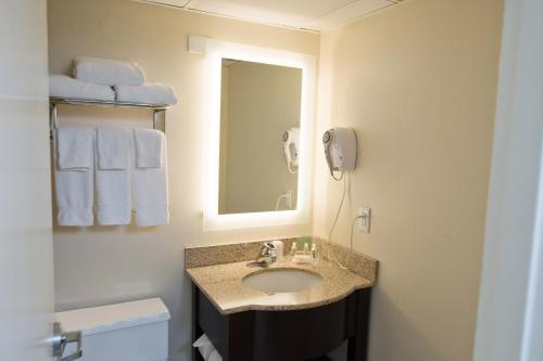 伯明翰伯明翰机场假日酒店的一间带水槽和镜子的浴室