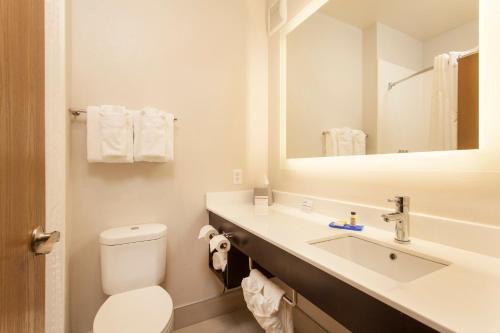 圣达菲圣达菲康福特套房酒店的一间带卫生间、水槽和镜子的浴室