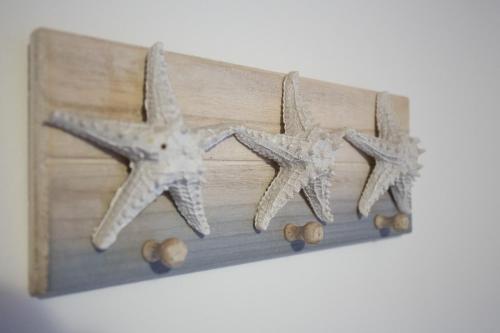 里奥马哲雷海景旅馆的墙上木架上的两只海星