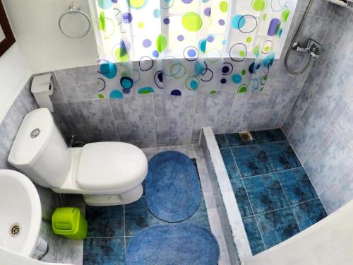 拉戈莱特Surf House的一间带卫生间和淋浴帘的浴室