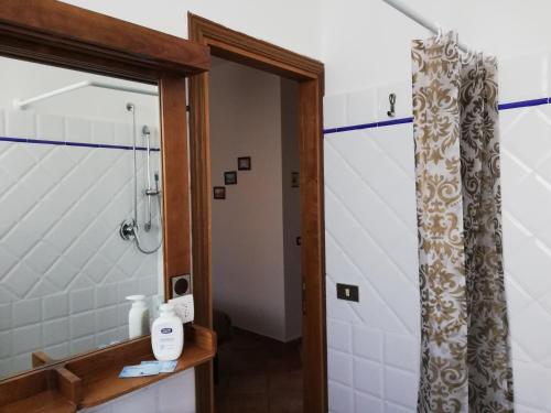 基安蒂盖奥勒Agriturismo "Crocino in Chianti"的带淋浴和浴帘的浴室