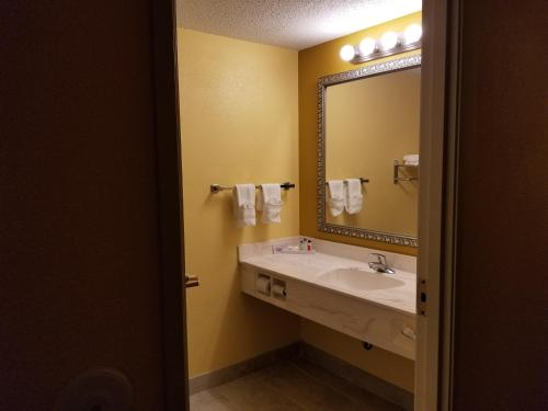 OwossoComstock Inn & Conference Center的一间带水槽和镜子的浴室