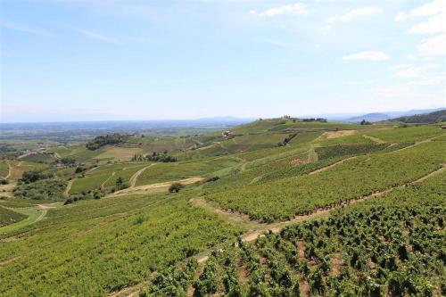弗勒里Tiny house au cœur du vignoble beaujolais的享有绿树成荫的山丘的空中景致