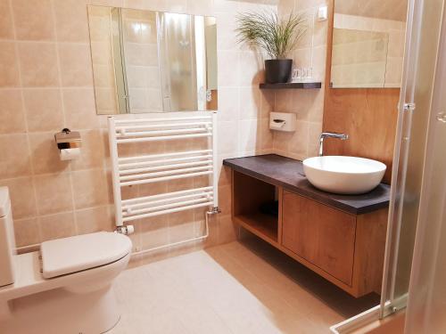 博希尼加斯佩林波欣酒店的一间带水槽和卫生间的浴室