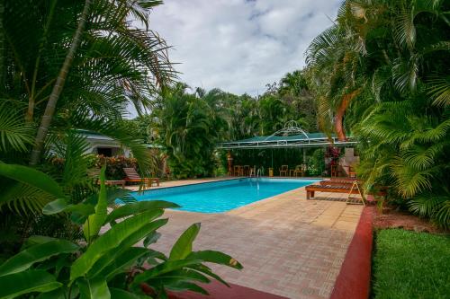阿拉胡埃拉阿美利卡拉罗萨德酒店的棕榈树度假村内的游泳池
