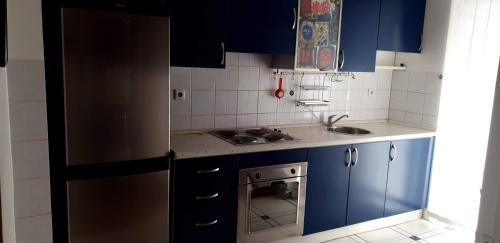 斯科普里Spectacular apartment in Skopje, City Mall area的厨房配有蓝色橱柜和不锈钢冰箱