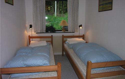 伦讷卡内加斯夫度假屋的带窗户的客房内的两张床