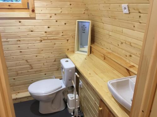 Villard-Saint-SauveurJoly Saint Sauveur的一间带卫生间和水槽的小浴室