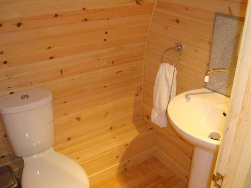 泰恩德拉姆Glamping Hut - By The Way Campsite的一间带卫生间和水槽的浴室