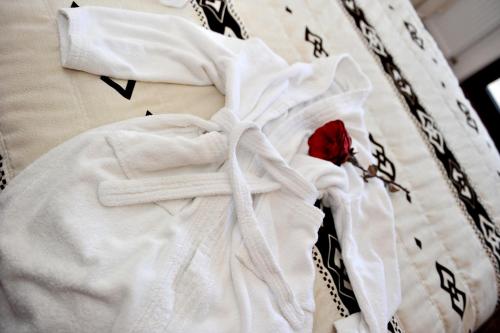 古拉哈莫卢洛伊Pensiunea Casa Doamnei Voronet的红色玫瑰花的白色长袍
