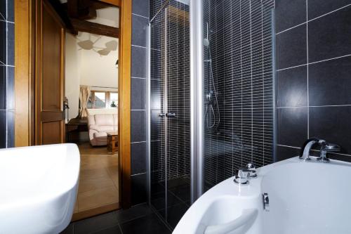 德辛Hotel Kristin Hrádek的浴室配有白色水槽和淋浴。
