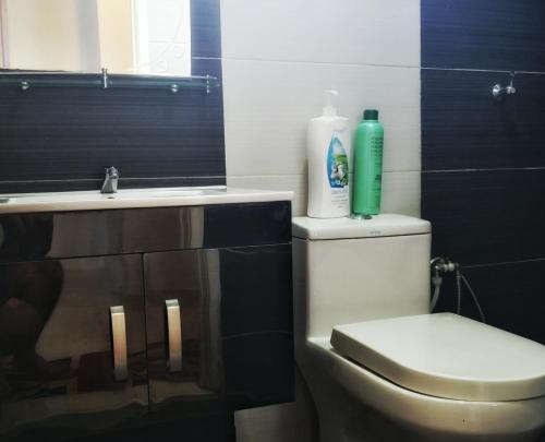 甘邦康卡普拉Skudai Homestay Pulai Perdana near UTM JPO and Taman Universiti的浴室配有白色卫生间和盥洗盆。