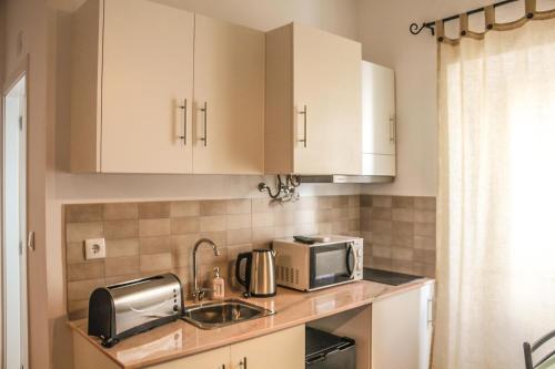 埃尔瓦斯Elvas GuestHouse的厨房配有白色橱柜、水槽和微波炉