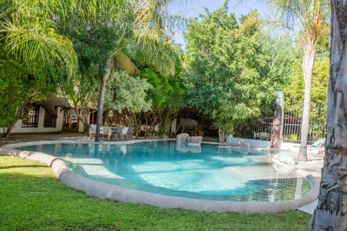 奥奇瓦龙戈Out of Africa Town Lodge的一座树木繁茂的庭院内的游泳池