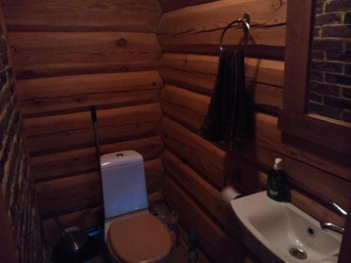 奥泰佩Vana-Laane Puhkemaja的一间带卫生间和水槽的小浴室